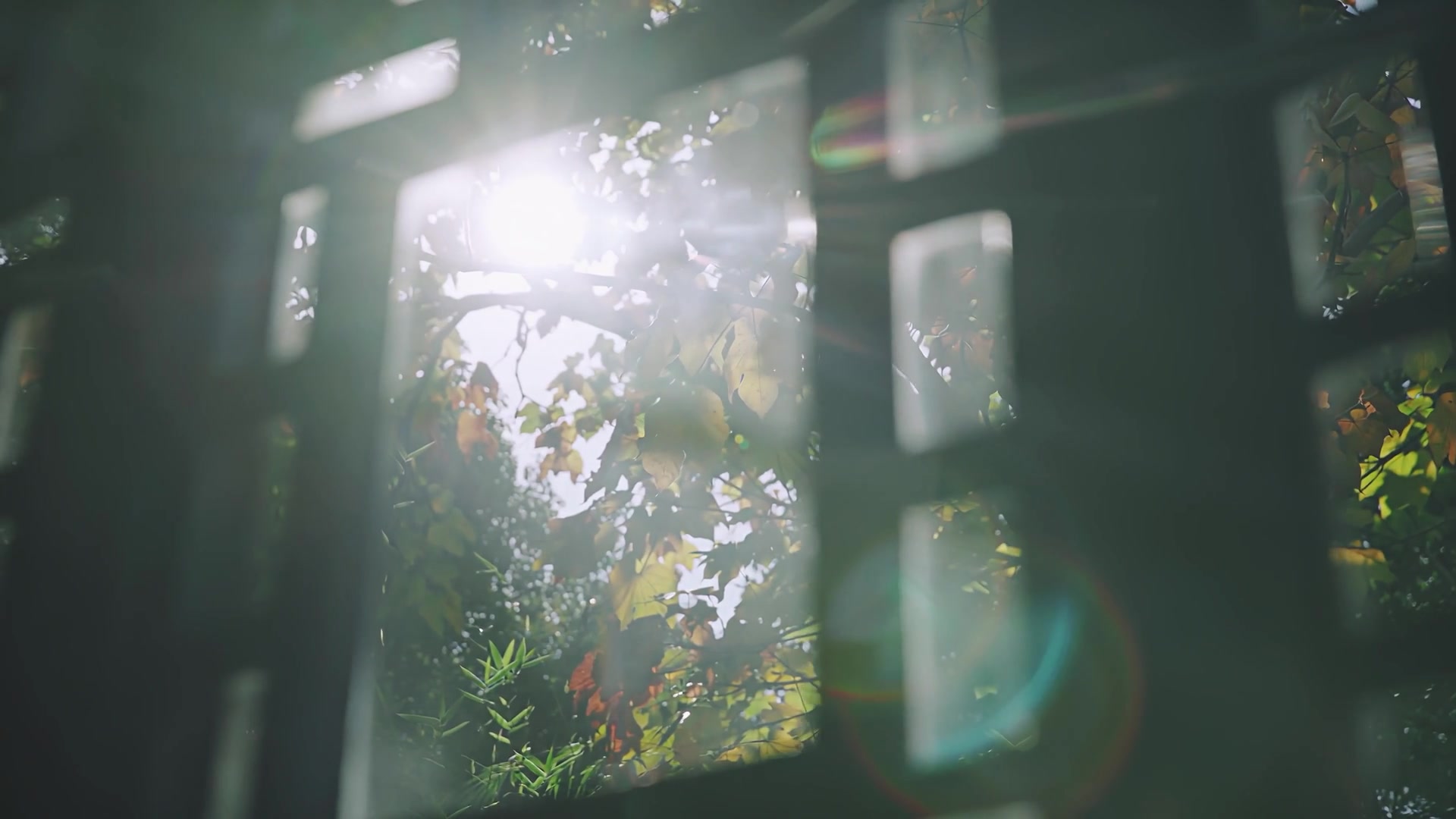 Closer to Water - Rebranding Film for 水屋の一平さん